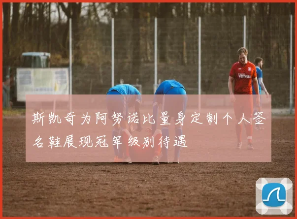 斯凯奇为阿努诺比量身定制个人签名鞋展现冠军级别待遇